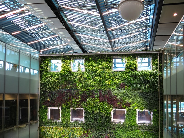 verticale-tuin
